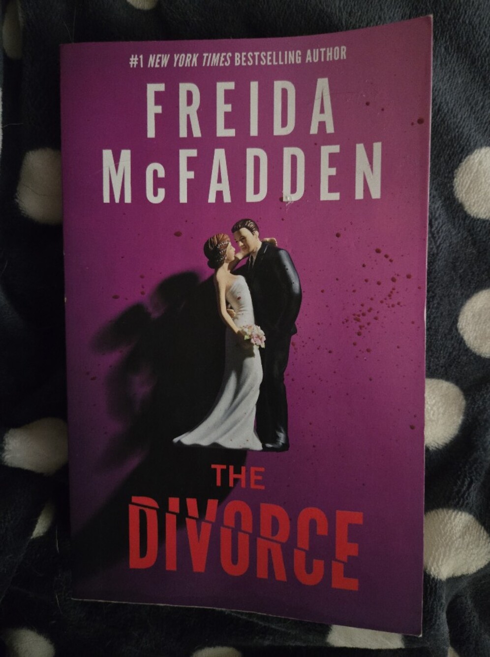 The Divorce Freida McFadden